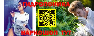 стафф Брянск