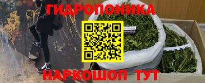 эйфоретик Боровичи
